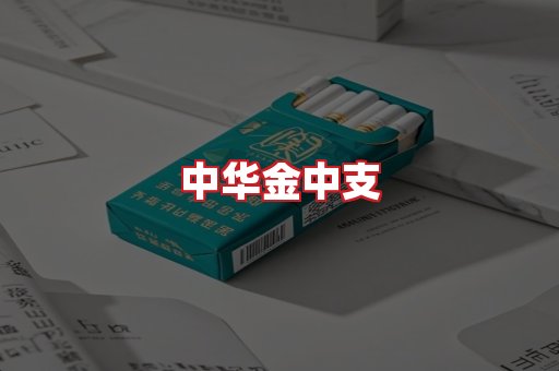 中华金中支